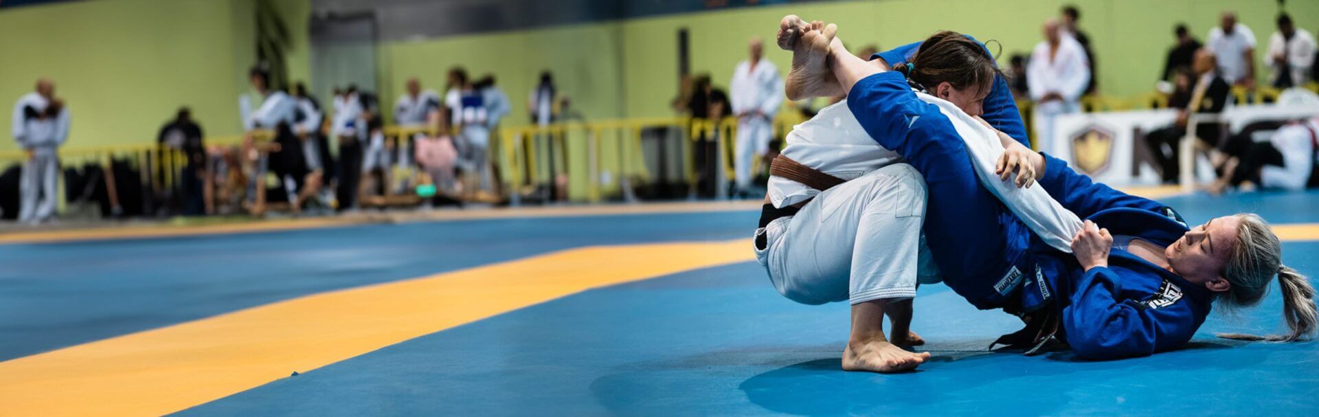 Brazilian Jiu Jitsu &amp; MMA