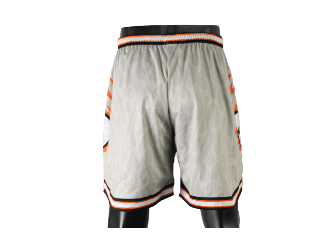 Mesh Shorts