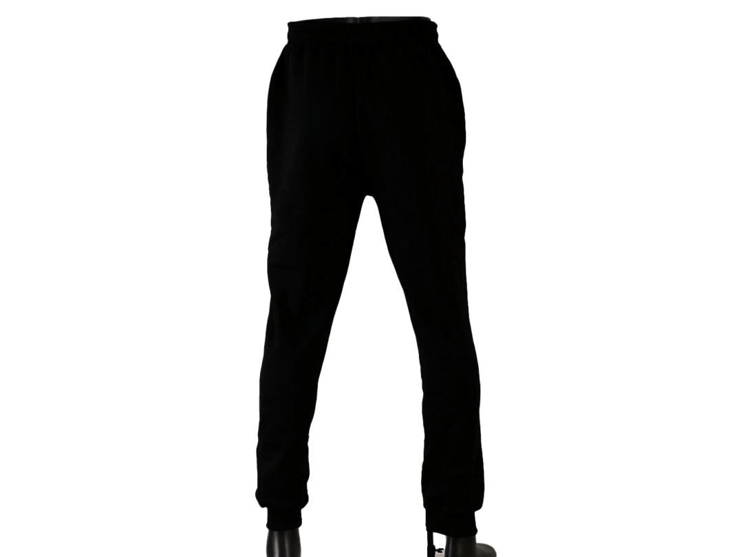 varsity sweatpants