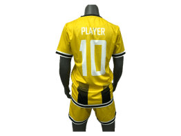 custom v neck soccer jersey